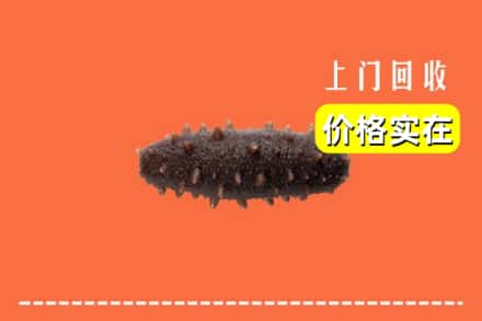 武汉蔡甸区回收海参